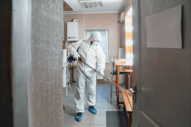 Best Mold Odor Removal Services  in Paonia, CO