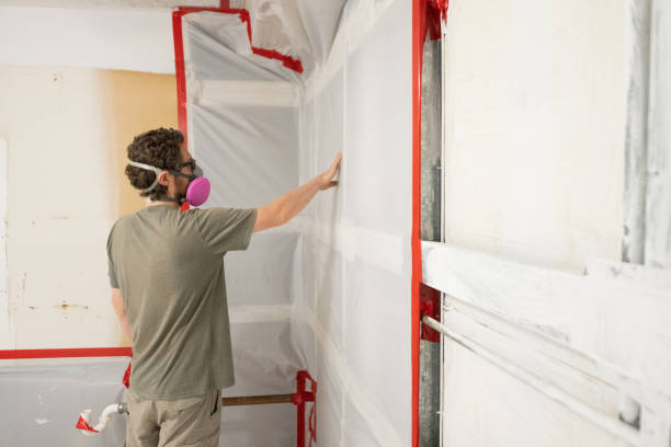 Best Water Damage & Mold Remediation  in Paonia, CO