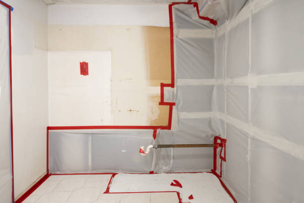 Best Water Damage & Mold Remediation  in Paonia, CO