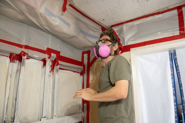 Best Residential Mold Inspection & Testing  in Paonia, CO