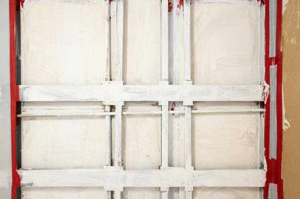 Best Commercial Mold Inspection  in Paonia, CO