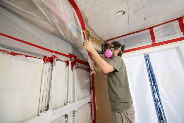 Best Mold Remediation for Healthcare Facilities  in Paonia, CO
