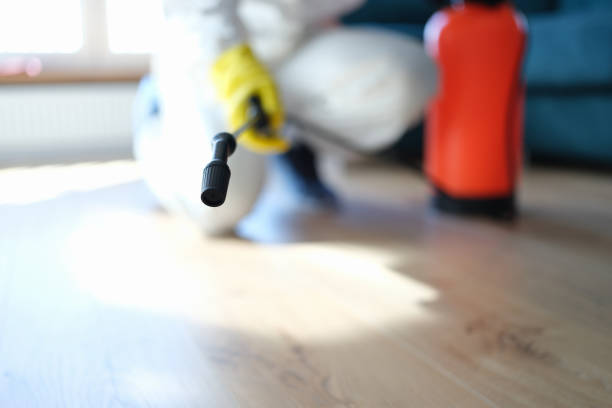 Best Biohazard Mold Removal  in Paonia, CO