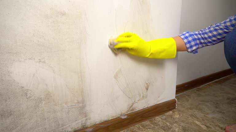 Best Mold-Related Health Consultation  in Paonia, CO