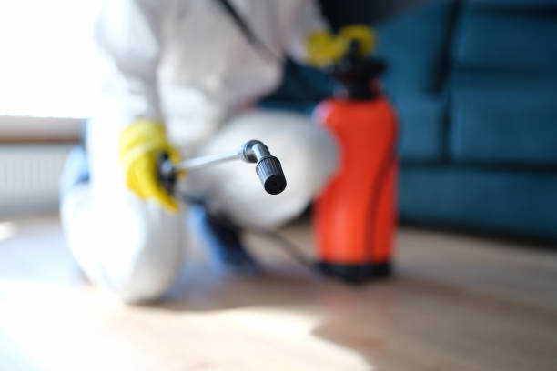 Best Asbestos and Lead Testing During Mold Inspection  in Paonia, CO