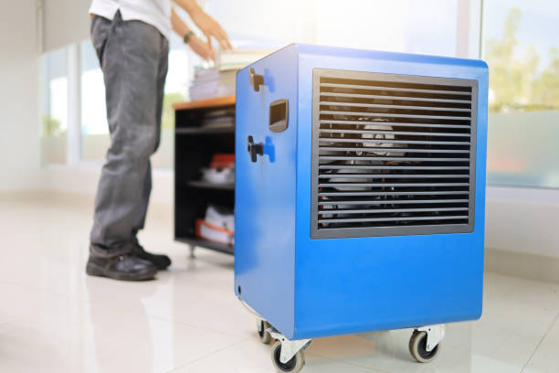Best Comprehensive Air Testing for Mold Contaminants  in Paonia, CO