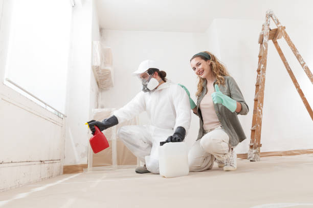 Best Mold Damage Restoration  in Paonia, CO